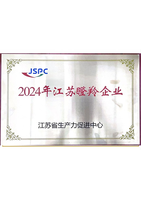 江苏瞪羚企业证书